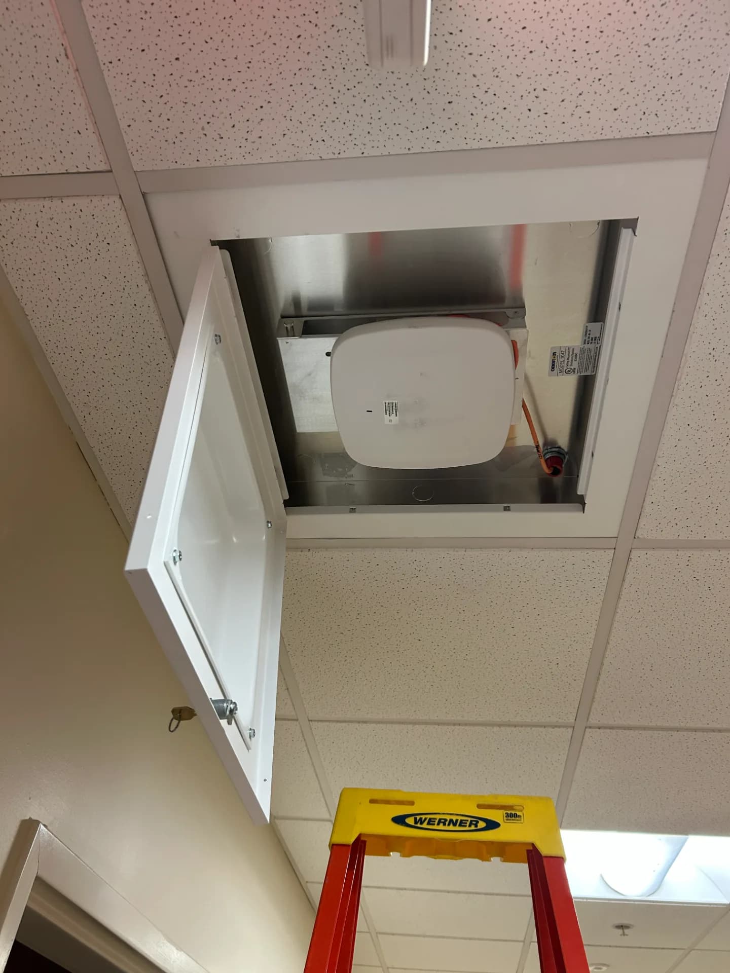 Hatemi Network project image